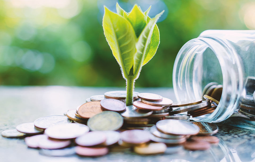 Savings and Investments